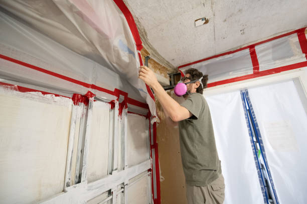 Mold Remediation for Vacation Homes in Glenwood, IA