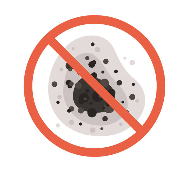 Glenwood, IA Mold Removal Pros