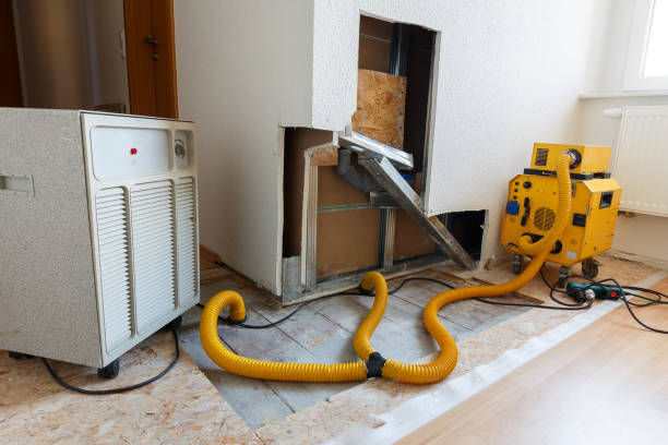 Best Residential Mold Inspection & Testing  in Glenwood, IA
