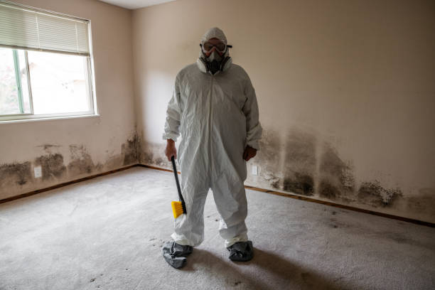 Best HVAC Mold Inspection and Cleaning  in Glenwood, IA